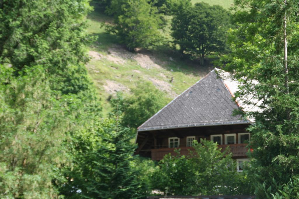 Hotel Gasthaus Hirschen Im Hochschwarzwald Todtnau Nahe Feldberg Zewnętrze zdjęcie