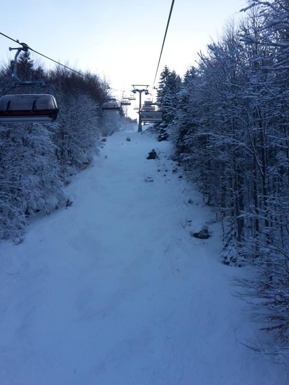 Hotel Gasthaus Hirschen Im Hochschwarzwald Todtnau Nahe Feldberg Zewnętrze zdjęcie