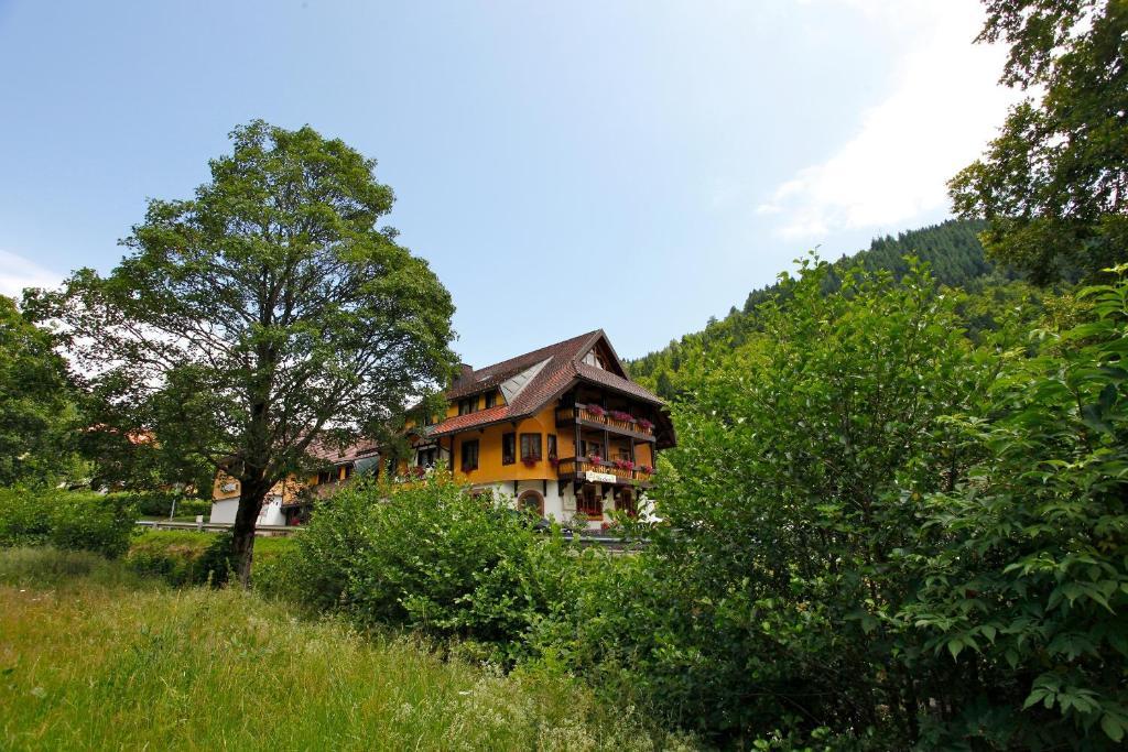 Hotel Gasthaus Hirschen Im Hochschwarzwald Todtnau Nahe Feldberg Zewnętrze zdjęcie